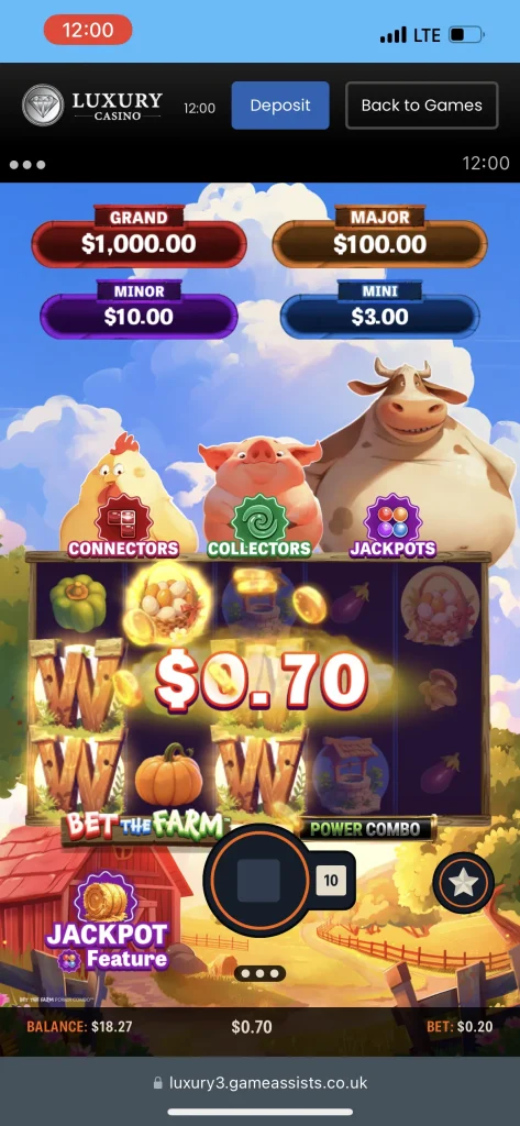 Luxury Casino Game