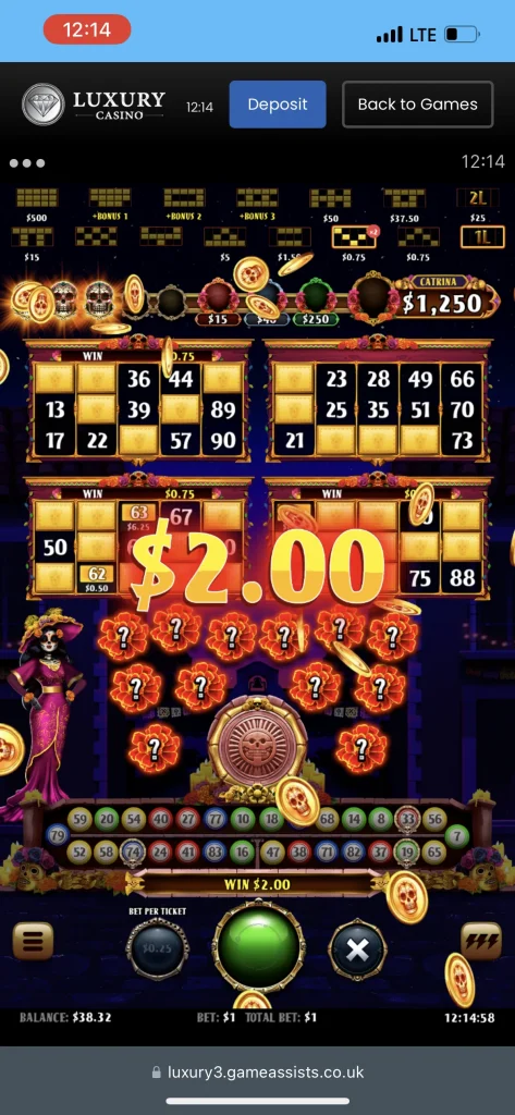 Luxury Casino Game