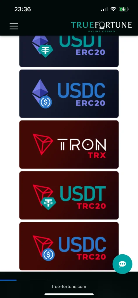 True Fortune Casino Payment