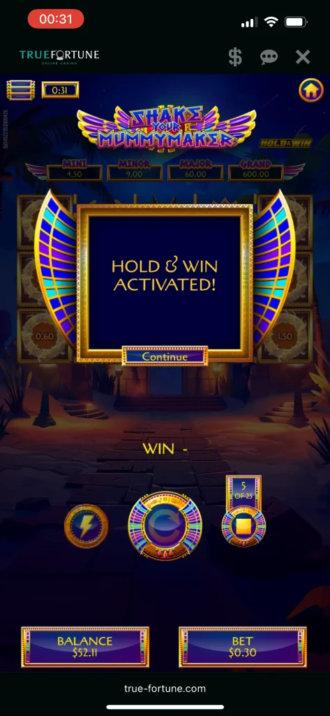 True Fortune Casino Game