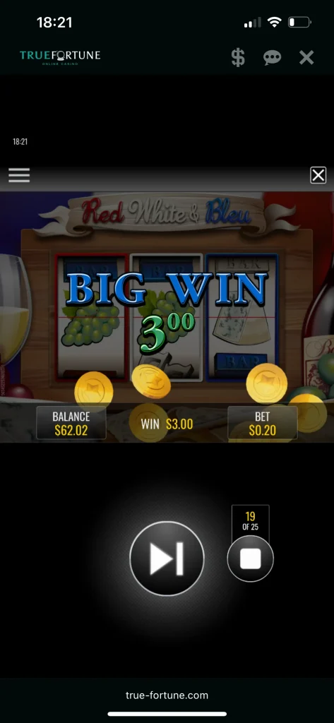 True Fortune Casino Game
