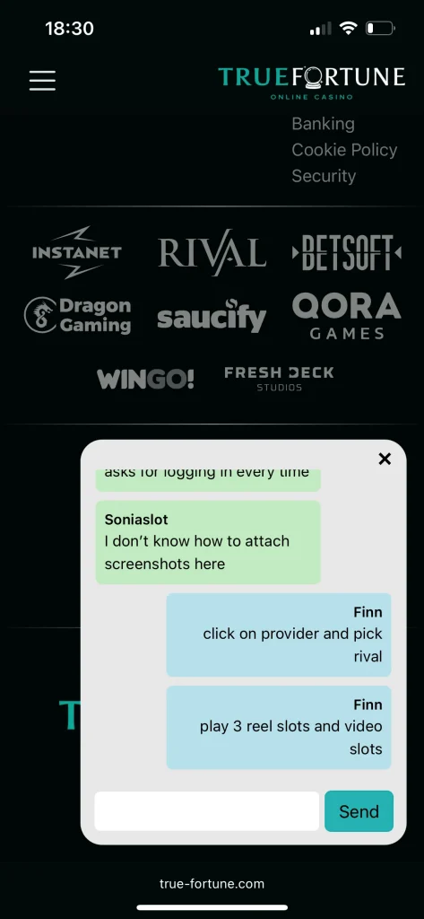 True Fortune Casino Support