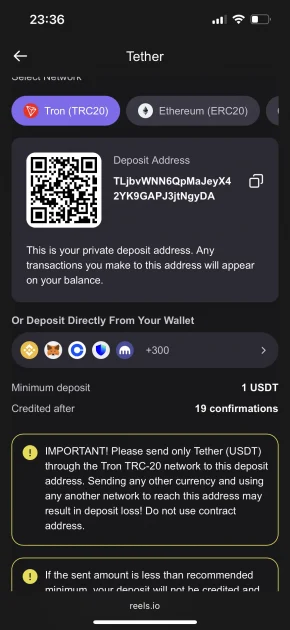 Reels.io casino deposit