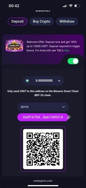 MetaSpins Casino deposit