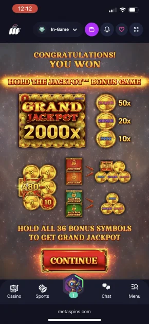MetaSpins Casino Game